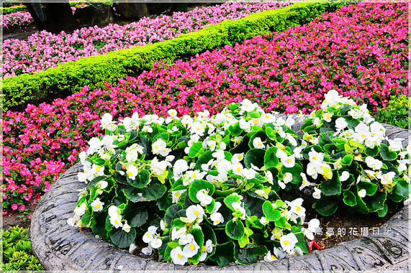 國父紀念館(National Dr.Sun Yat-sen Memorial Hall):【臺北】信義區。國立國父紀念館