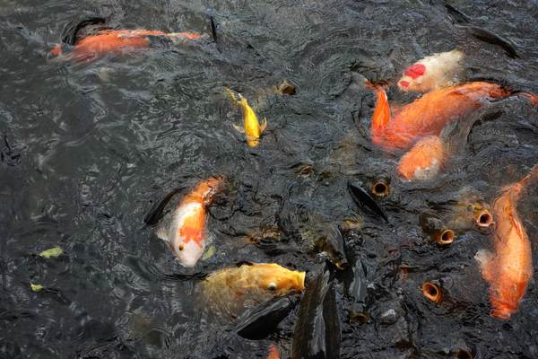 cm20140824___a66ccc25634a3988cded7b5ebd1