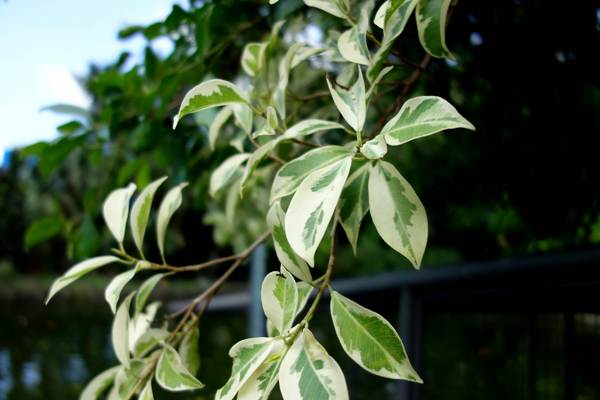 cm20140824___1a2256001ef4c8aaeb3c10d085d