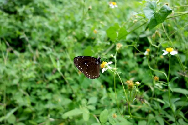 cm20140824___0aaadbbd6197eb133ea0a3cf2d6