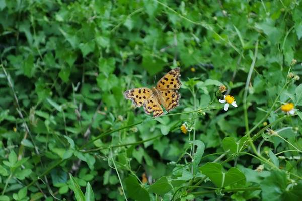 cm20140824___0f857a01d1970bf8c05da4fdcb1