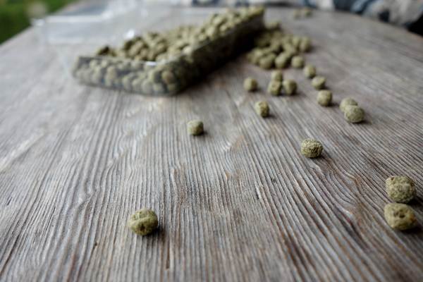 cm20140824___455257dafd9aaed467e52e6ff79