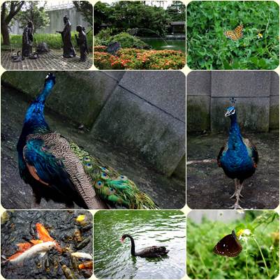 cm20140824___829542f72d389b02e0dbba107de