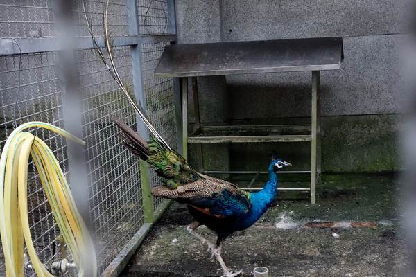 cm20140824___3c9ab58dfead81a531c39fd2066