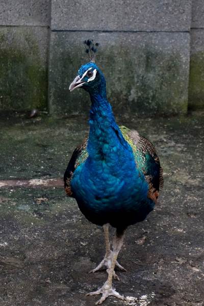 cm20140824___43a1c72bc1ad54c5404b6ff02c0