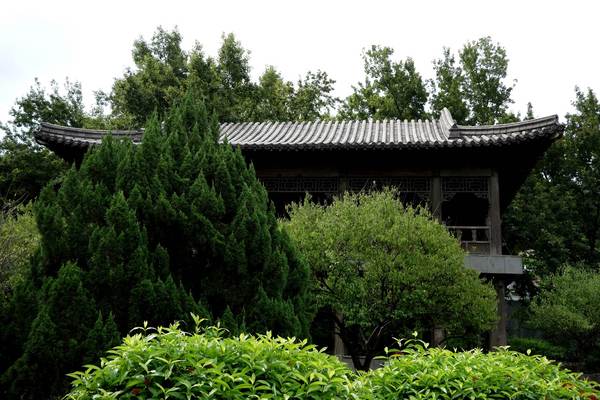 cm20140824___8f439b5f53109fe7bf8112f305b