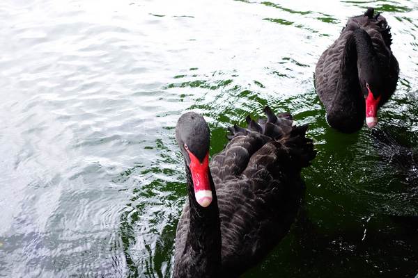 cm20140824___5bd4a28d6d26f2bda7eeb9142a0