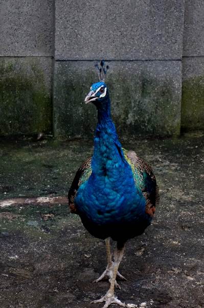 cm20140824___bfbdc8347dd1e6c1e0af0a82c4a