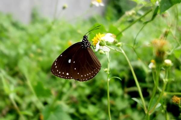 cm20140824___2344787d1bf7946a63de90bd6c2