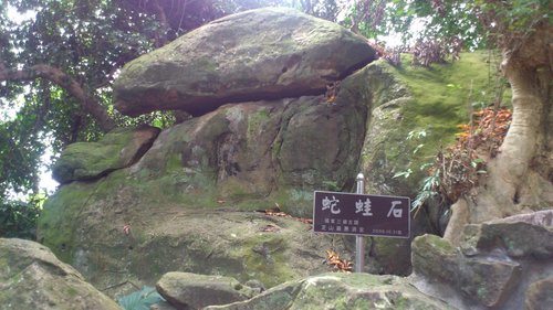 芝山岩:201304102117跟著捷運去踏青之芝山巖惠濟宮