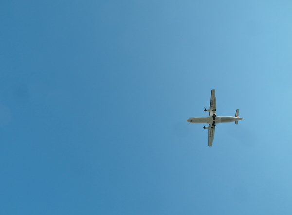 花博圓山公園:【樞紐情緣-晴光/圓山商圈約會特寫】遠離城市喧囂~圓山半日遊!!