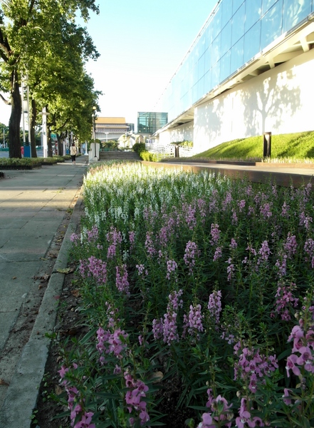 花博圓山公園:【樞紐情緣-晴光/圓山商圈約會特寫】遠離城市喧囂~圓山半日遊!!