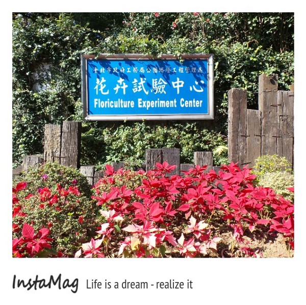 台北市花卉試驗中心：2015陽明山櫻花季花卉試驗中心