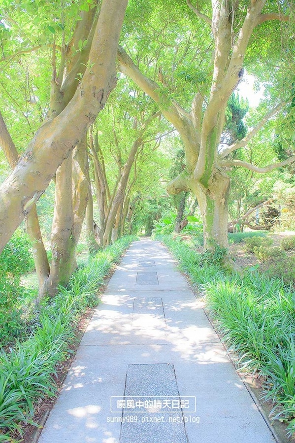 花卉試驗中心:【台北 | 陽明山】享受夏季花開蝴蝶飛舞的免費熱門婚紗拍攝點 陽明山花卉試驗中心