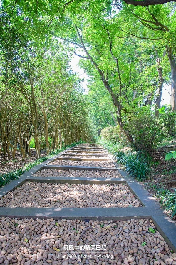 花卉試驗中心:【台北 | 陽明山】享受夏季花開蝴蝶飛舞的免費熱門婚紗拍攝點 陽明山花卉試驗中心