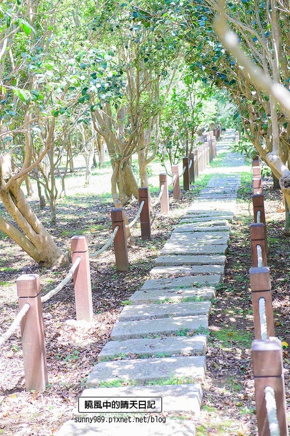 花卉試驗中心:【台北 | 陽明山】享受夏季花開蝴蝶飛舞的免費熱門婚紗拍攝點 陽明山花卉試驗中心