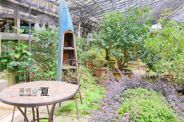 花卉試驗中心:【台北 | 陽明山】享受夏季花開蝴蝶飛舞的免費熱門婚紗拍攝點 陽明山花卉試驗中心