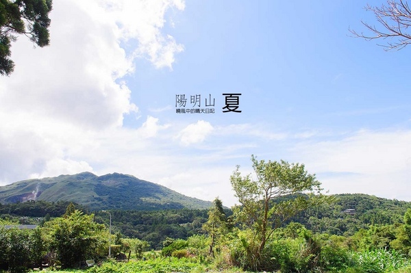 花卉試驗中心:【台北 | 陽明山】享受夏季花開蝴蝶飛舞的免費熱門婚紗拍攝點 陽明山花卉試驗中心