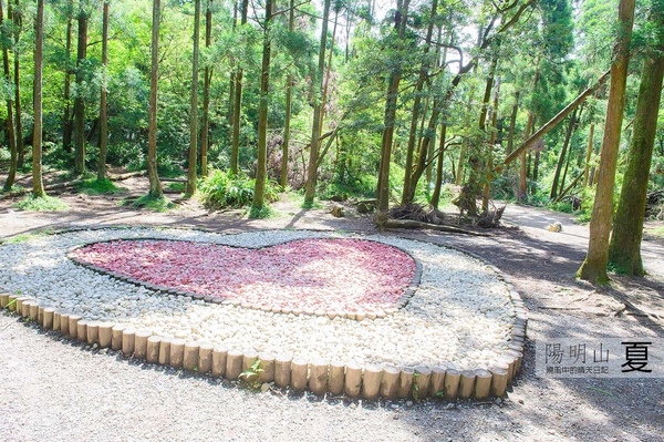 花卉試驗中心:【台北 | 陽明山】享受夏季花開蝴蝶飛舞的免費熱門婚紗拍攝點 陽明山花卉試驗中心