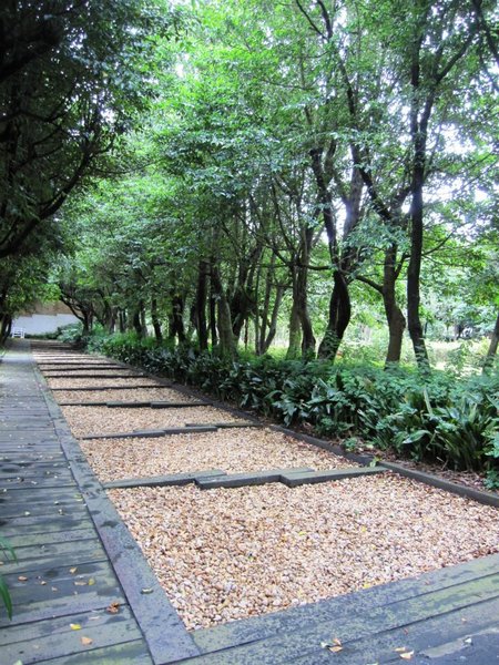 台北市花卉試驗中心:花卉試驗中心 - 免費的美麗後花園