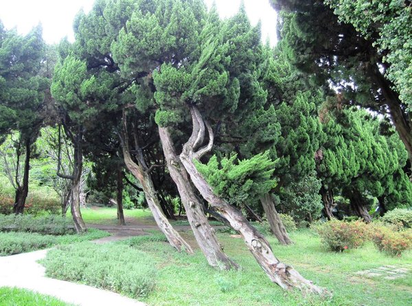 台北市花卉試驗中心:花卉試驗中心 - 免費的美麗後花園