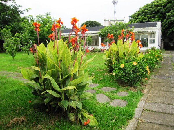 台北市花卉試驗中心:花卉試驗中心 - 免費的美麗後花園