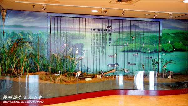 關渡自然公園:【台北市/北投】超大鳥窩你看過嗎??♪♪關渡自然公園♪♪