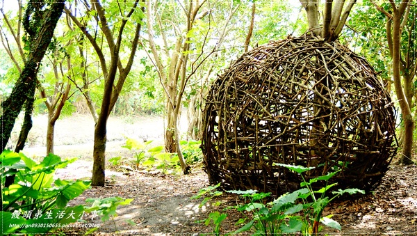 關渡自然公園:【台北市/北投】超大鳥窩你看過嗎??♪♪關渡自然公園♪♪