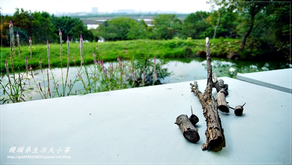 關渡自然公園:【台北市/北投】超大鳥窩你看過嗎??♪♪關渡自然公園♪♪