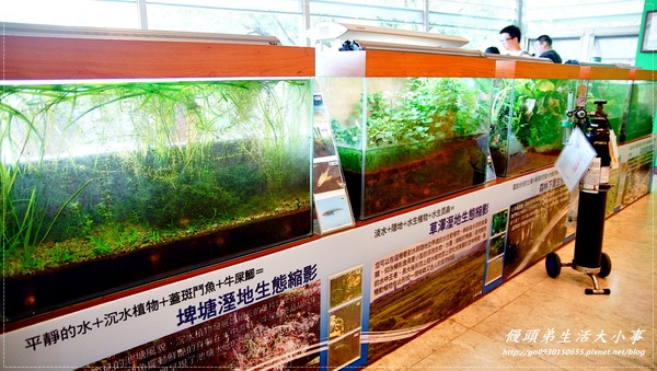 關渡自然公園:【台北市/北投】超大鳥窩你看過嗎??♪♪關渡自然公園♪♪