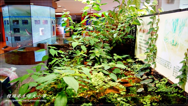 關渡自然公園:【台北市/北投】超大鳥窩你看過嗎??♪♪關渡自然公園♪♪