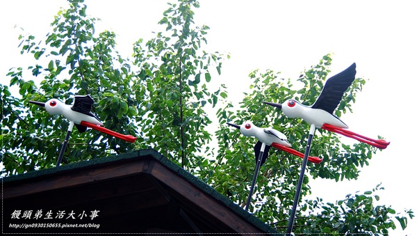 關渡自然公園:【台北市/北投】超大鳥窩你看過嗎??♪♪關渡自然公園♪♪