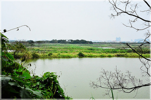 關渡自然公園：【臺北】北投區。關渡自然公園