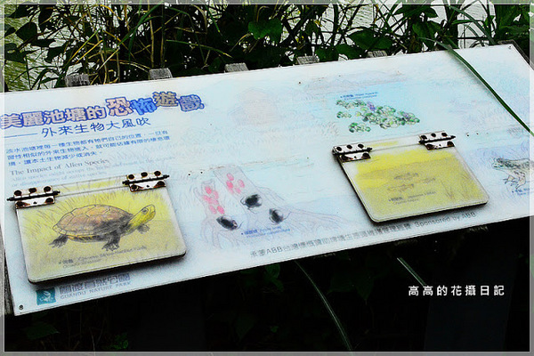 關渡自然公園：【臺北】北投區。關渡自然公園