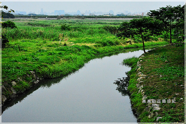 關渡自然公園：【臺北】北投區。關渡自然公園