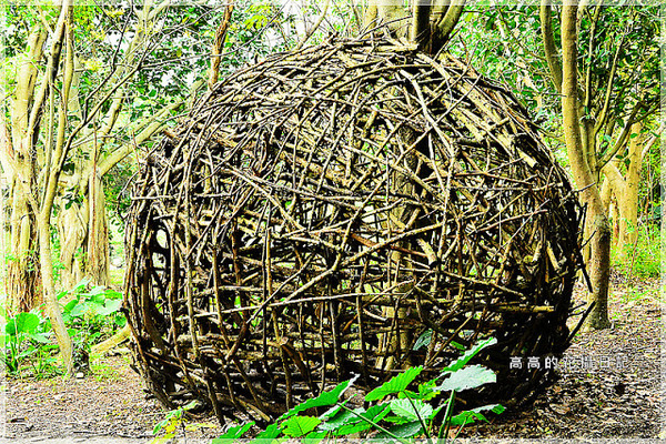 關渡自然公園：【臺北】北投區。關渡自然公園