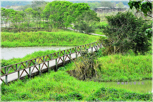 關渡自然公園：【臺北】北投區。關渡自然公園