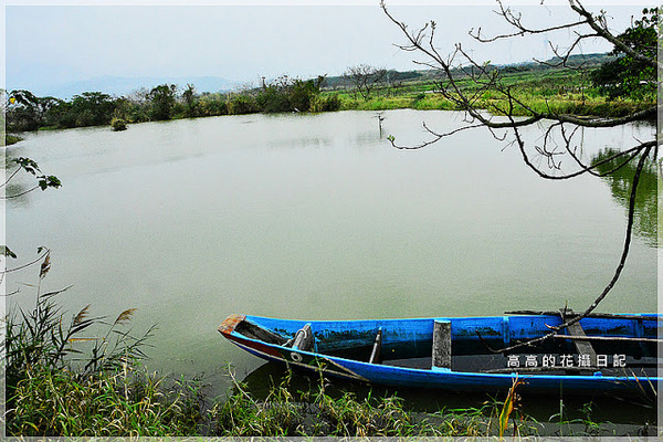 關渡自然公園：【臺北】北投區。關渡自然公園