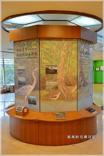 關渡自然公園：【臺北】北投區。關渡自然公園