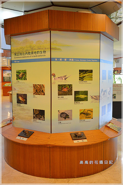 關渡自然公園：【臺北】北投區。關渡自然公園