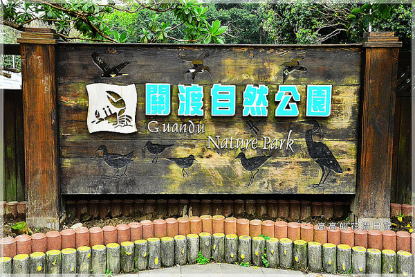 關渡自然公園：【臺北】北投區。關渡自然公園
