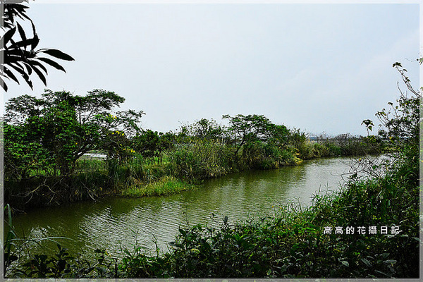 關渡自然公園：【臺北】北投區。關渡自然公園