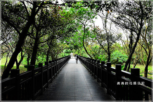 關渡自然公園：【臺北】北投區。關渡自然公園