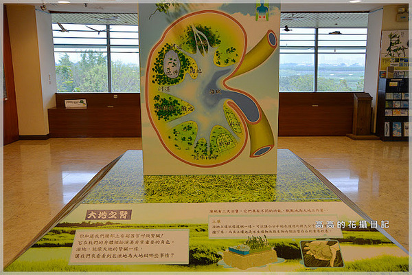 關渡自然公園：【臺北】北投區。關渡自然公園