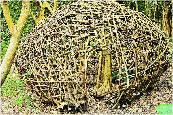 關渡自然公園：【臺北】北投區。關渡自然公園