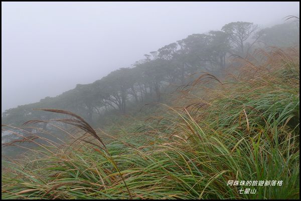 七星山19.JPG