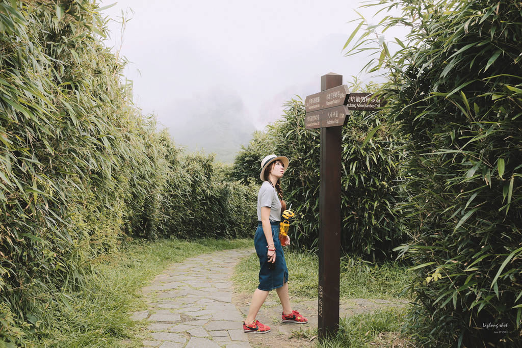 那雲霧裊繞的陽明山小油坑