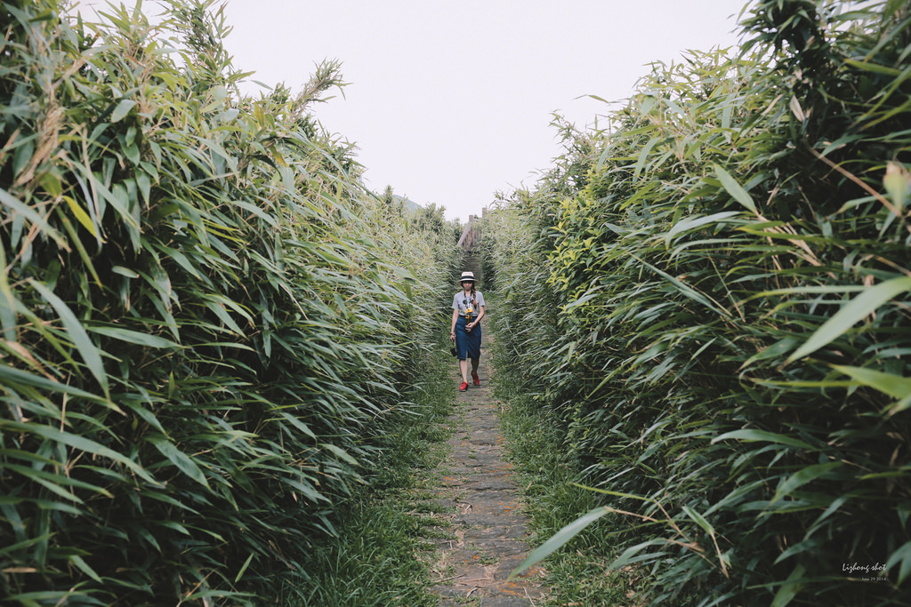 那雲霧裊繞的陽明山小油坑