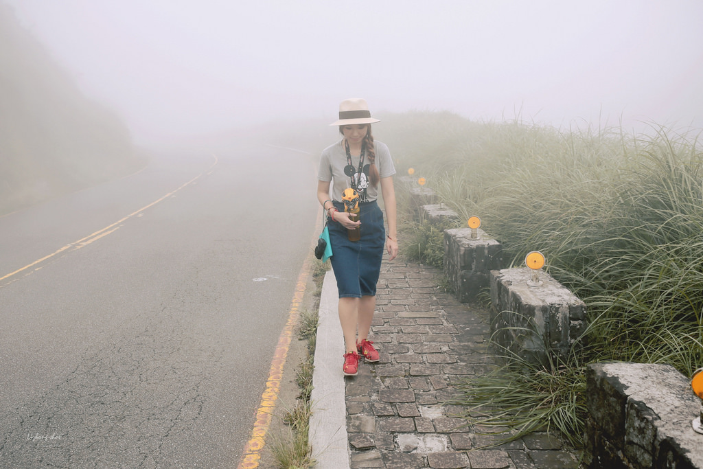 那雲霧裊繞的陽明山小油坑