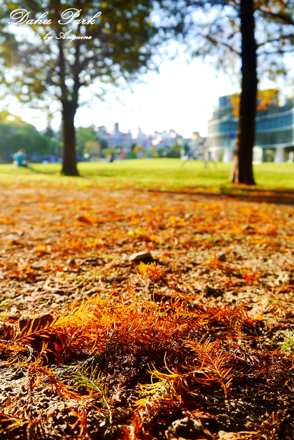 廖西瓜＠台北內湖大湖公園15